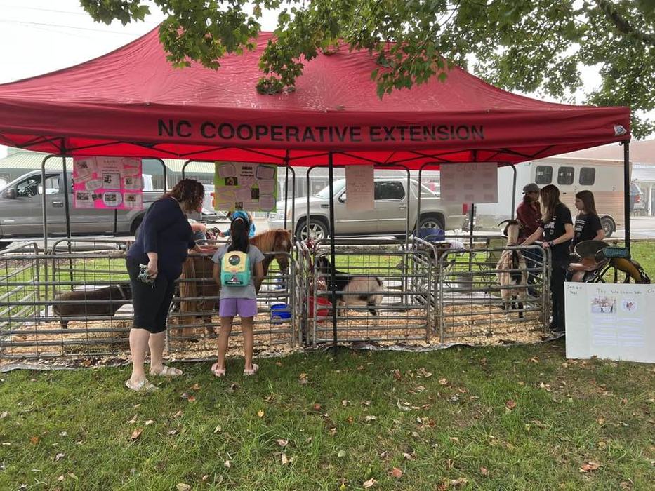 Petting Zoo Pens with goats and pony