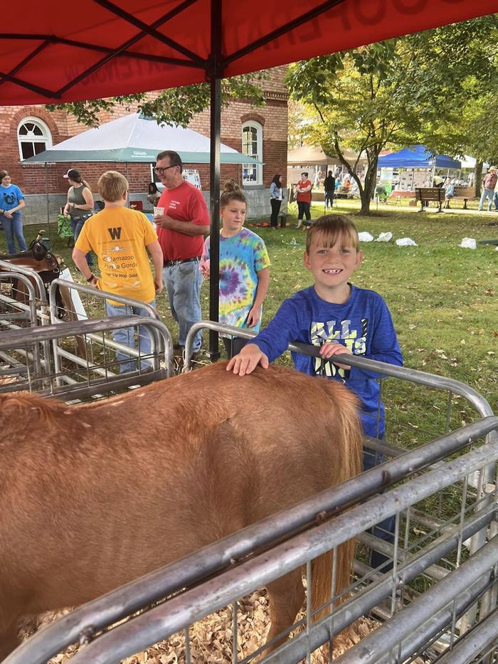 Child pets a pony