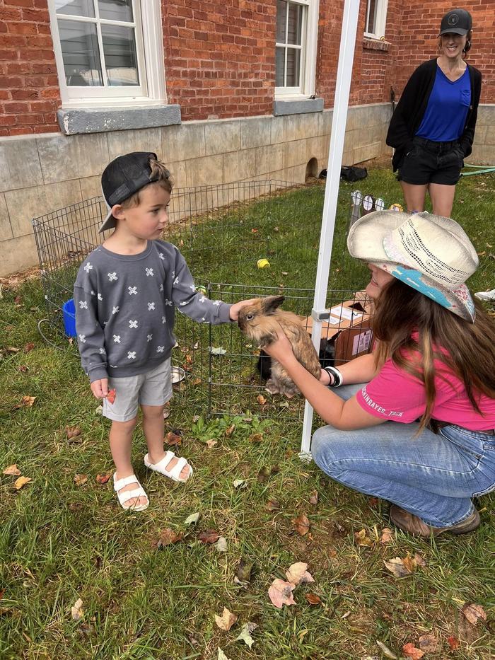 child pets a rabbit