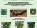 Wreath and Garland Flyer