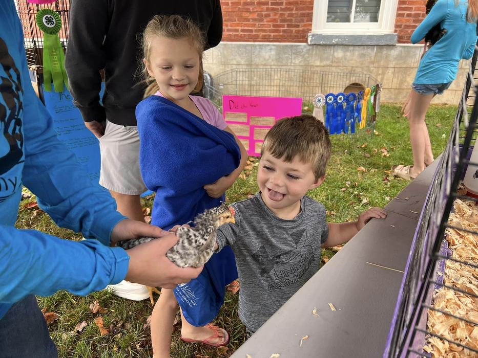 children pet a chicken