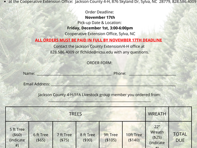 Christmas Tree Fundraiser Flyer/Order Form
