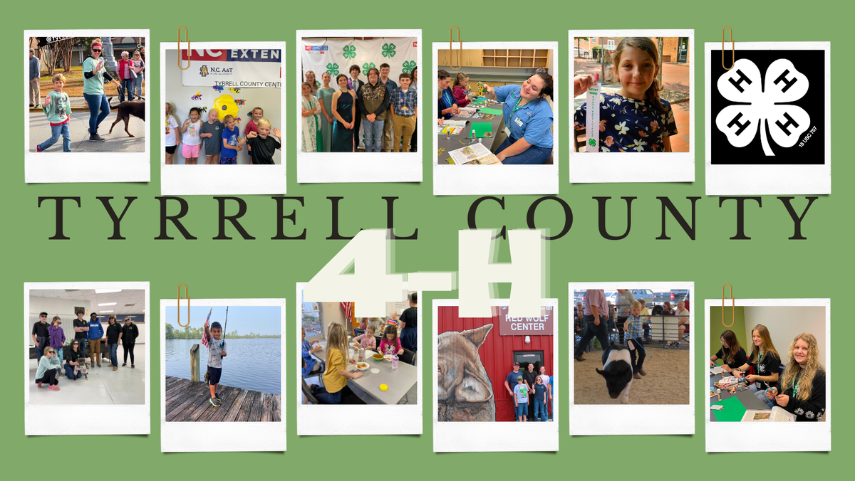 Tyrrell County 4-H Banner. Banner contains pictures of 4-H youth participating in 4-H activities.