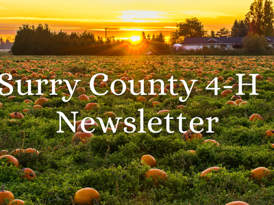 4-H Newsletter