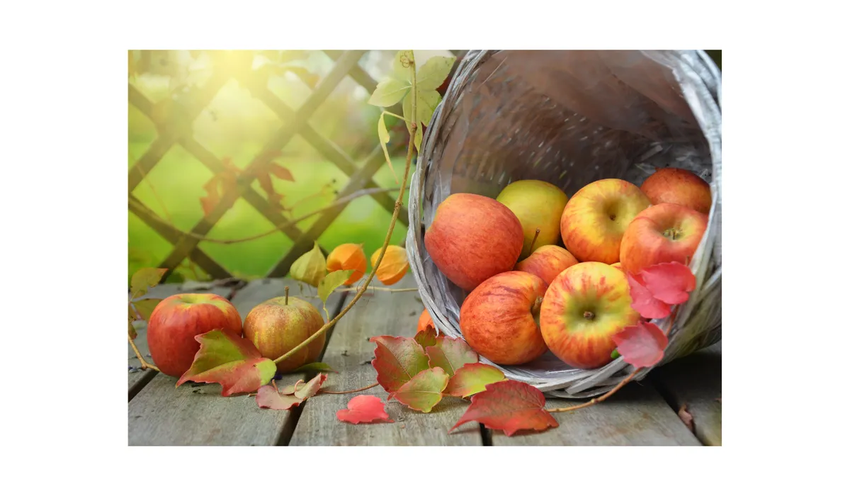 Ready to Crunch for National Apple Month? - Sampson County Center | N.C ...