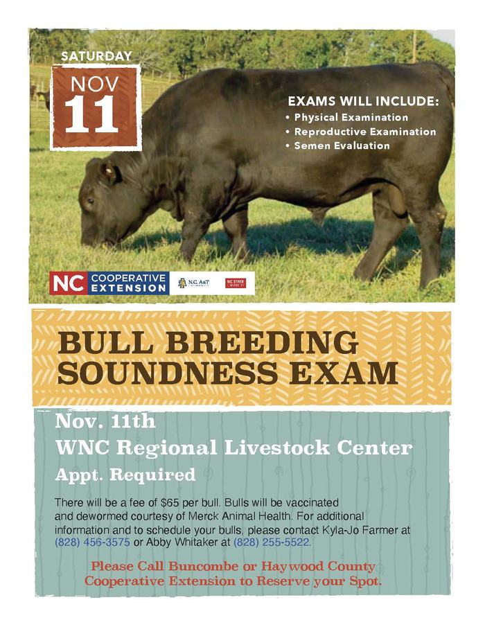 Bull Breeding Soundness Exam Flyer
