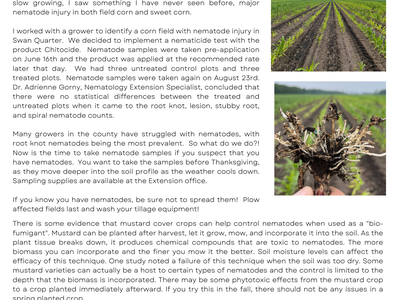 Blackland Bulletin, Hyde County Extension — "Nematodes: A Growing Issue in Hyde County"