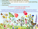Flyer with information about Native Plant Workshop event