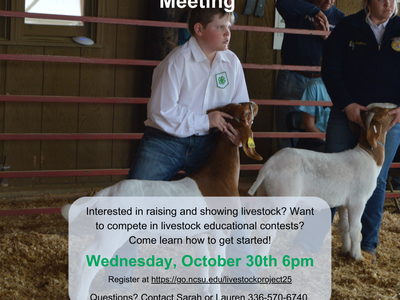 livestock show interest