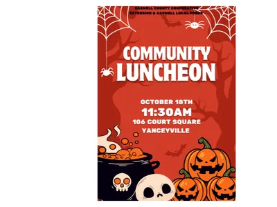 caswell county free lunch flyer with halloween clipart of pumpkins and a cauldron