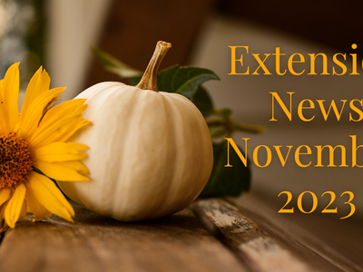 Extension News
