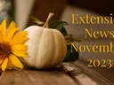 Extension News