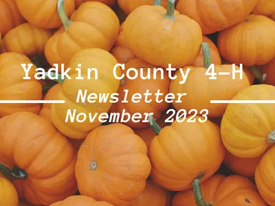 Yadkin County 4-H Nov. Newsletter