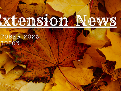 October 2023 Extension News