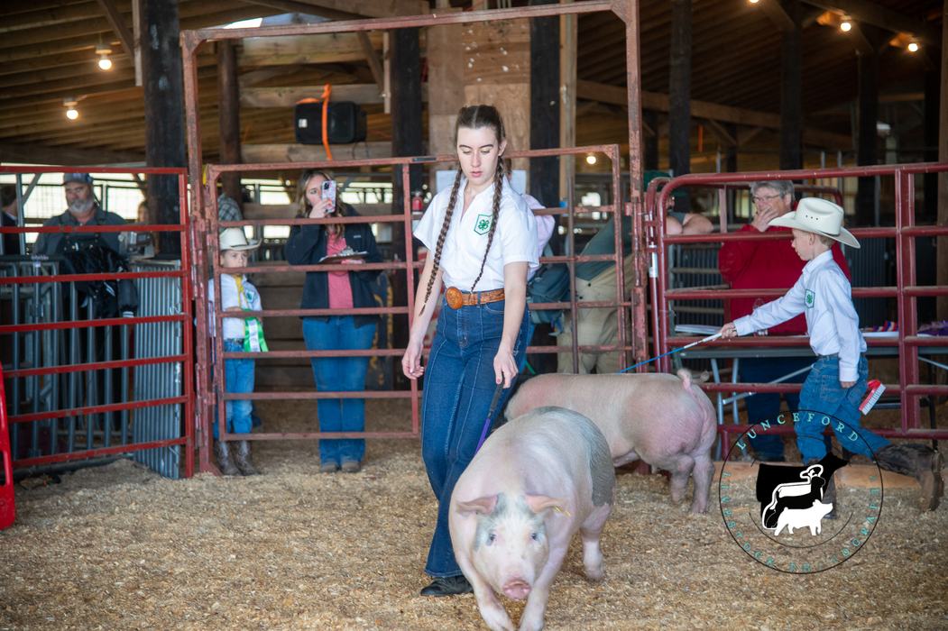 Sarah directs hog in the ring