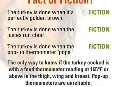 turkey f