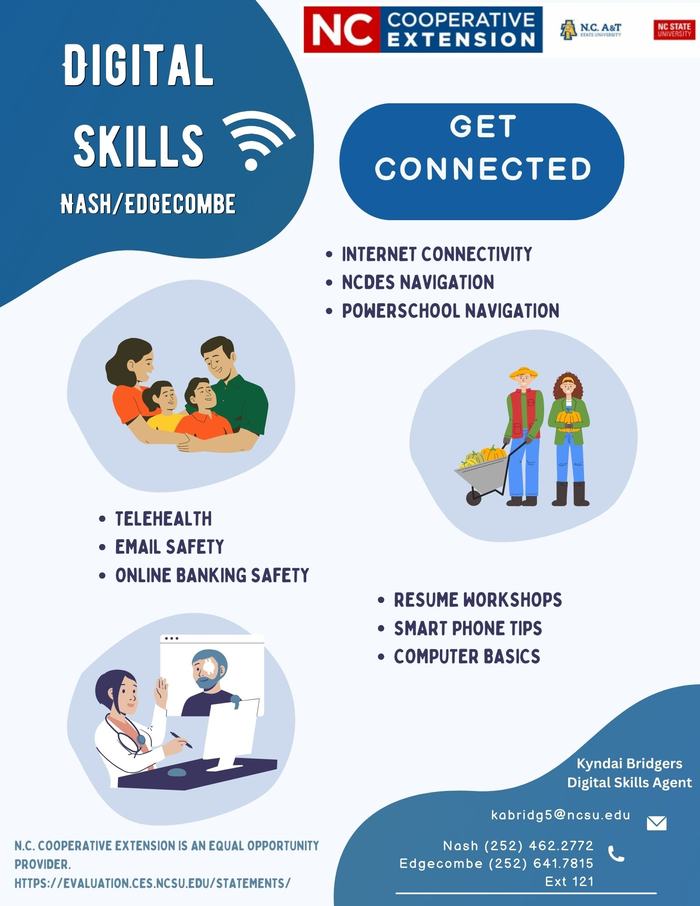 Digital Skills, Get Connected