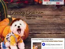 Growing Chatham October 2023 Newsletter