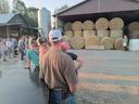 people looking at hay in a barn