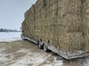 Trailer loaded with stacked hay bales secured by straps on snowy ground