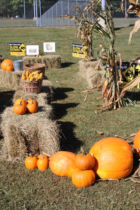 Pumpkin and hay maze