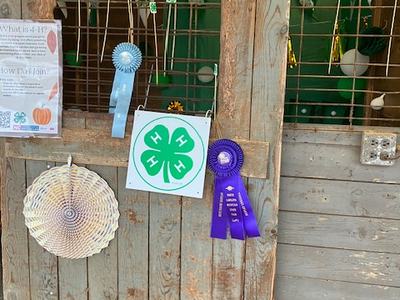 Ribbons displayed with fair booth