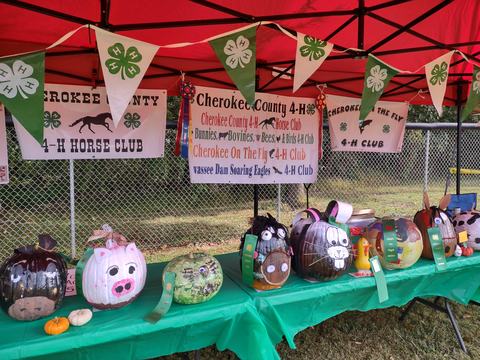 Decorated pumpkins on a table under a tent with Cherokee County 4-H banners and ribbons