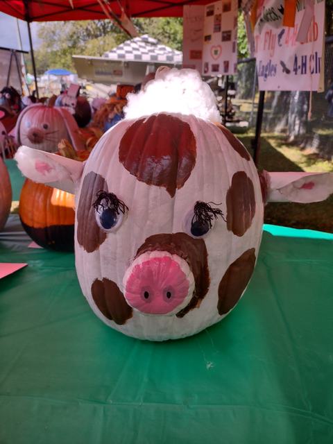 Pumpkin painted as a spotted pig with pink snout and cotton tuft on top, on green table