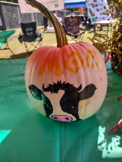 White pumpkin painted with a cow face and "MOO" on a table at an outdoor fair