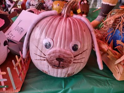 White pumpkin decorated as bunny with googly eyes, felt ears and whiskers