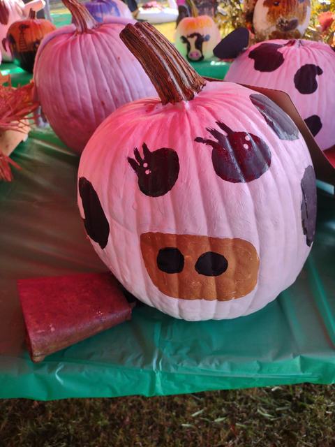 White pumpkin painted like a cow with black spots and a brown snout on a green table