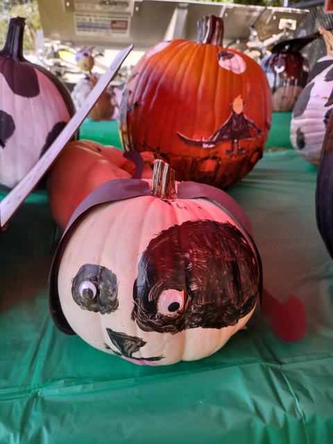 White pumpkin painted with black panda face and googly eyes on green table