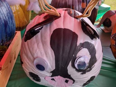 Painted pumpkin decorated as a cow with googly eyes and pipe-cleaner horns