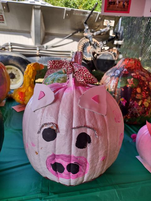Pink pumpkin decorated as a pig with paper ears, painted snout and black eyes, leopard bow
