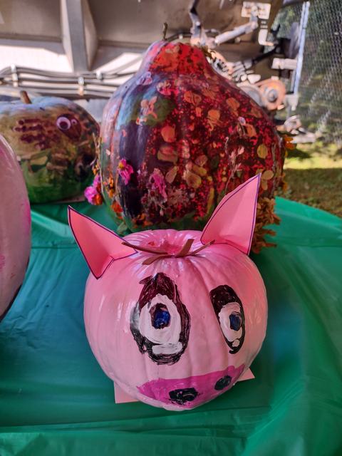 Pink painted pumpkin with paper ears and painted eyes and snout on a green table
