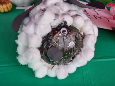 Pumpkin decorated as a sheep with cotton-ball wool, googly eyes, and black paper nose on green table