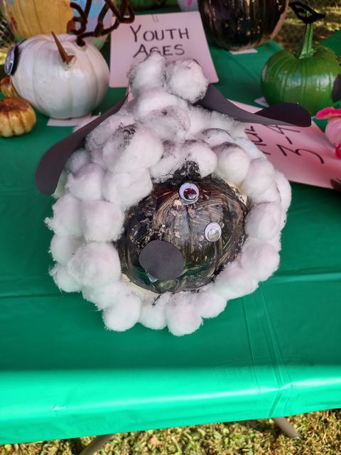 Pumpkin decorated as a sheep with cotton-ball wool, googly eyes, and black paper nose on green table