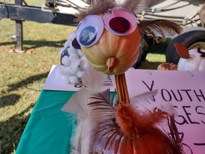 Pumpkin decorated as a bird with large googly eyes and feathers on a table outdoors