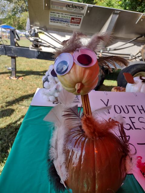 Pumpkin decorated as a bird with large googly eyes and feathers on a table outdoors