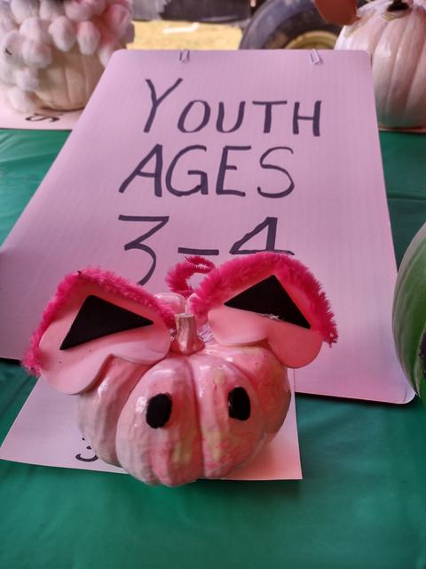 Painted small pumpkin with pink ears and black eyes; sign reading "YOUTH AGES 3-4"