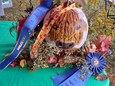Painted bison pumpkin with ribbons reading "Cherokee County 4-H" and "First Place"