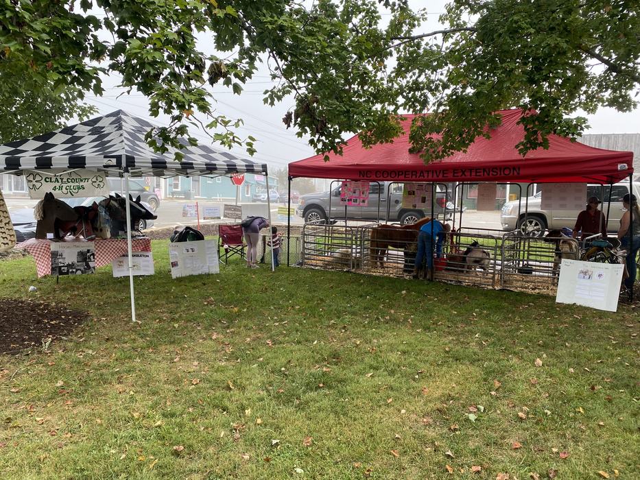 petting zoo pens