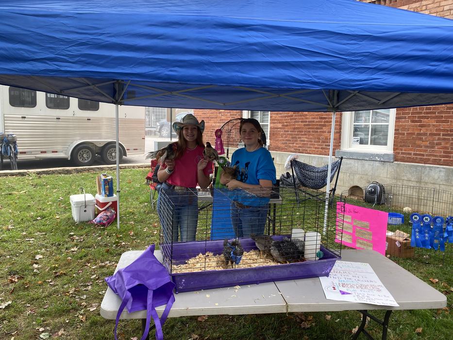 Youth holding chickens