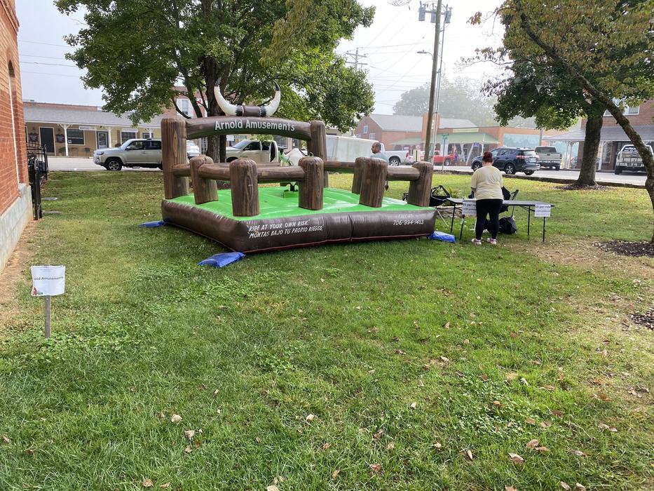 mechanical bull