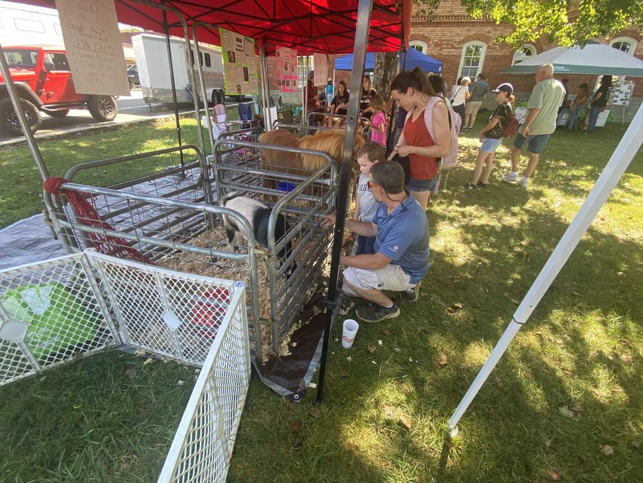 petting zoo