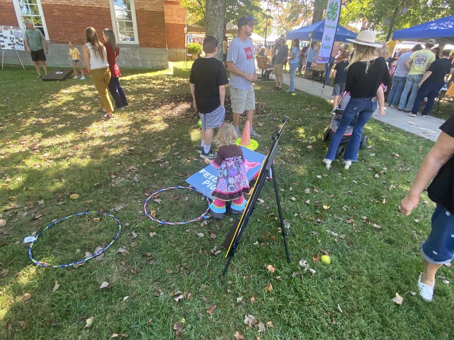 corn hole and ring toss