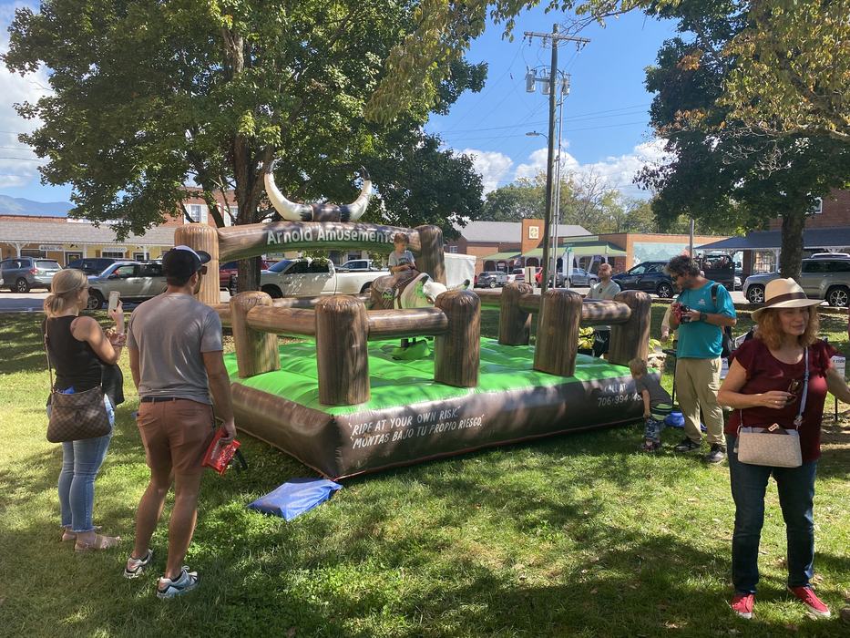 electronic bull ride