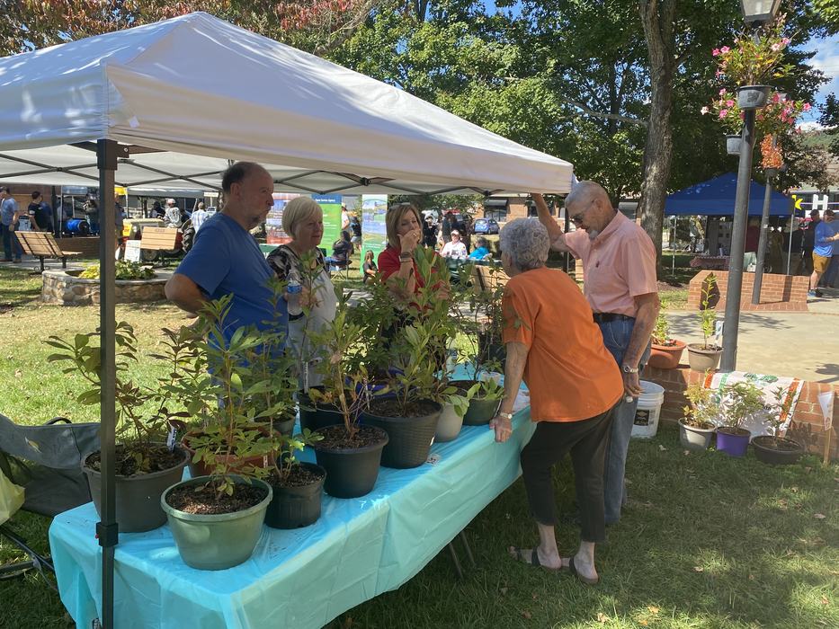 potted plants booth