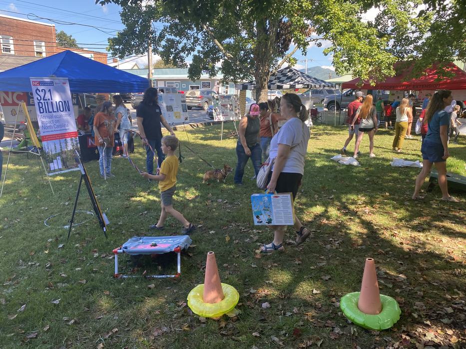 ring toss game