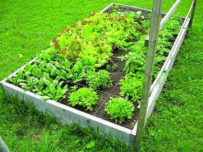 Image of a rectangular gridded square foot/raised bed garden